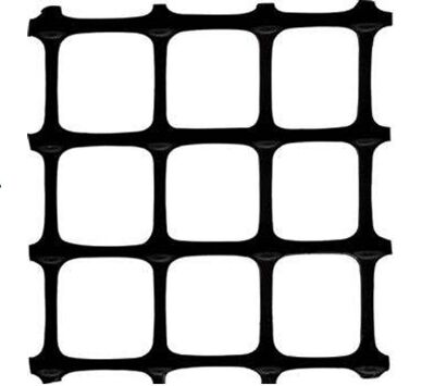 �p���������